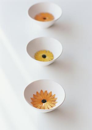 宅配クリーニングでふとん丸洗い